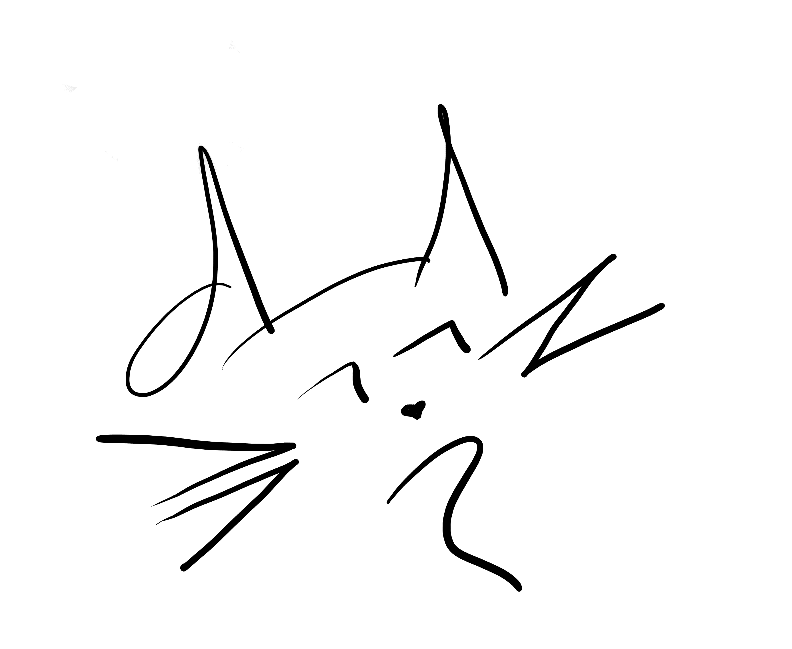 Anvar Cat